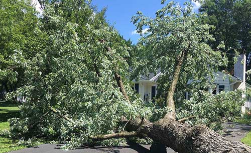 storm-damage image