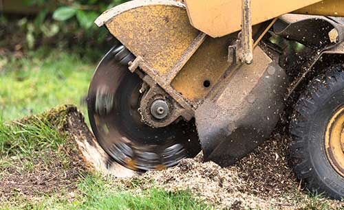 stump-grinding image