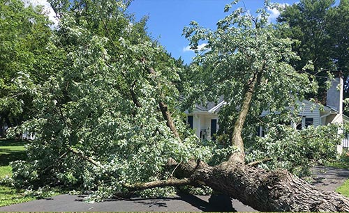 Storm Damage image